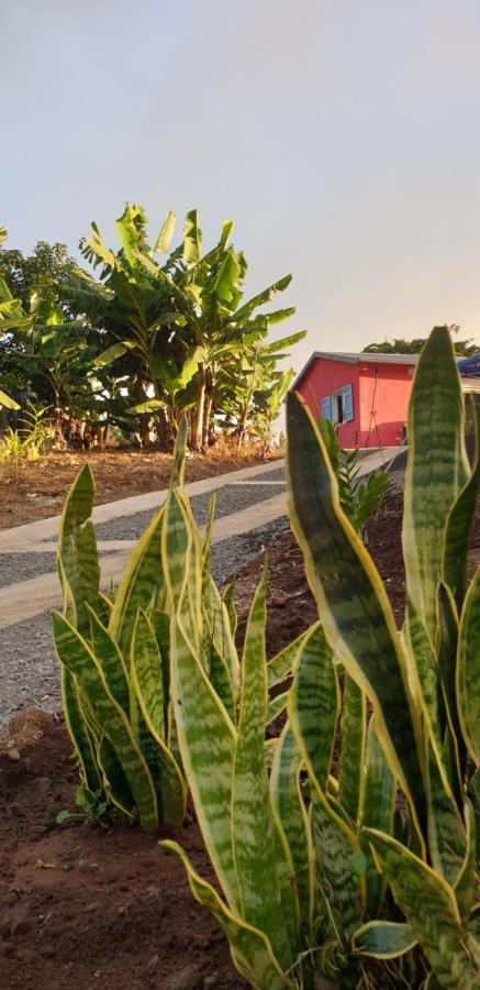 Гостьовий будинок Au Coeur Des Plantations Ла-Поссесьйон Екстер'єр фото